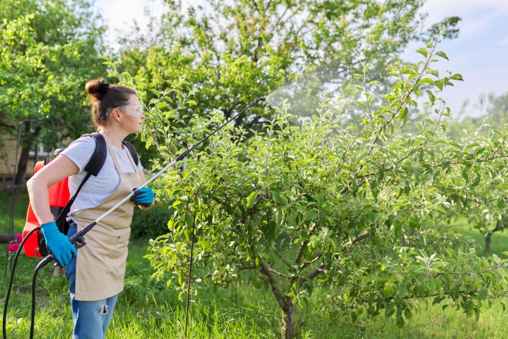 opryski drzew owocowych