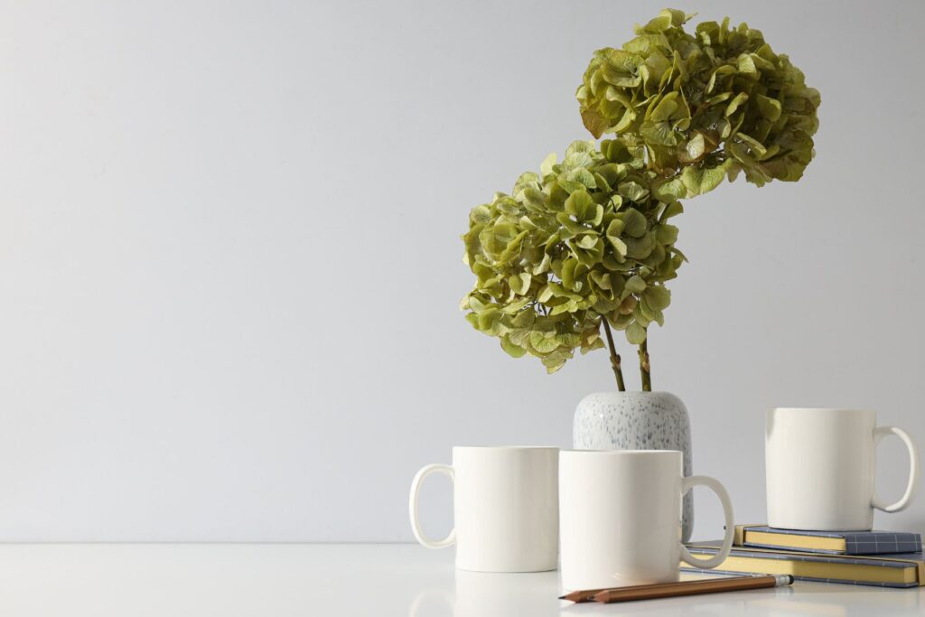 Jak suszyć hortensje aby nie straciły koloru