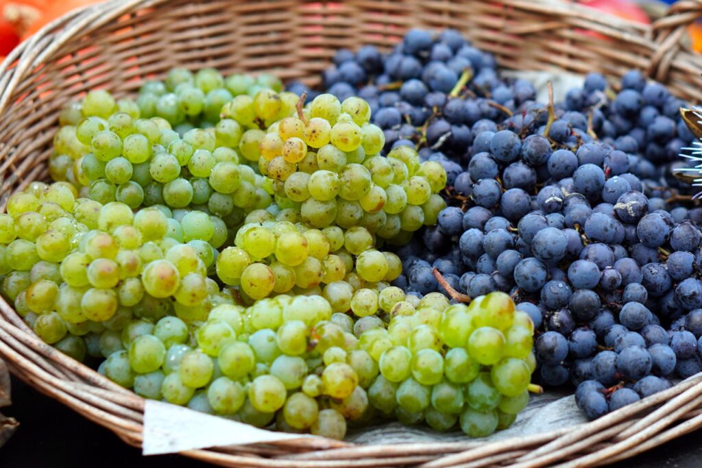 Winogrona