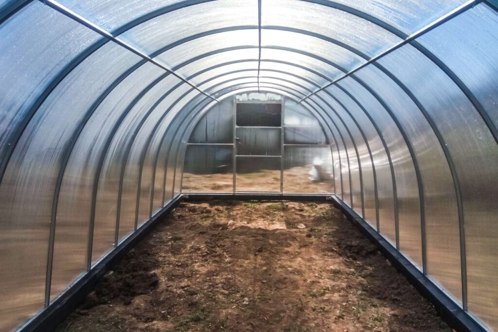 Szklarnia z poliwęglanu