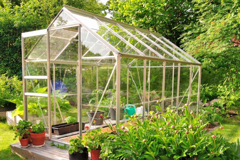 Jaką szklarnię wybrać do ogrodu?