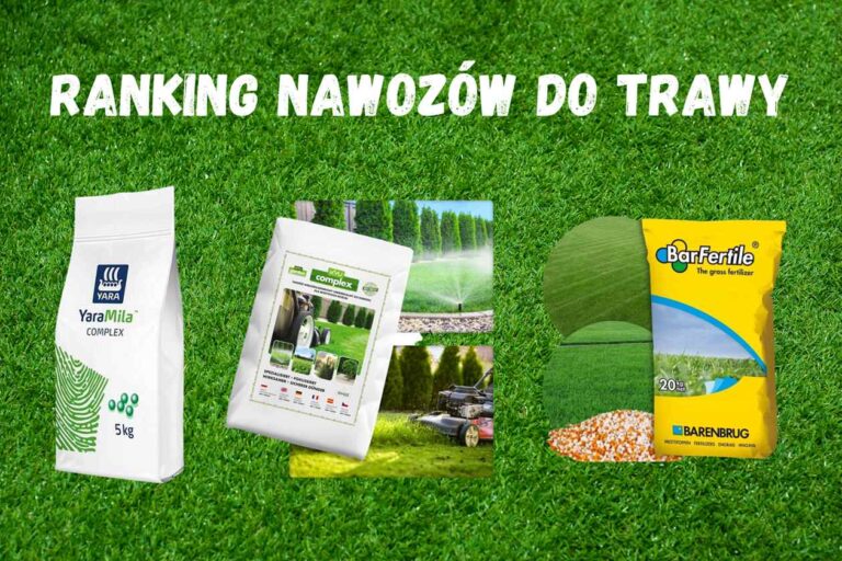 Ranking nawozów do trawy