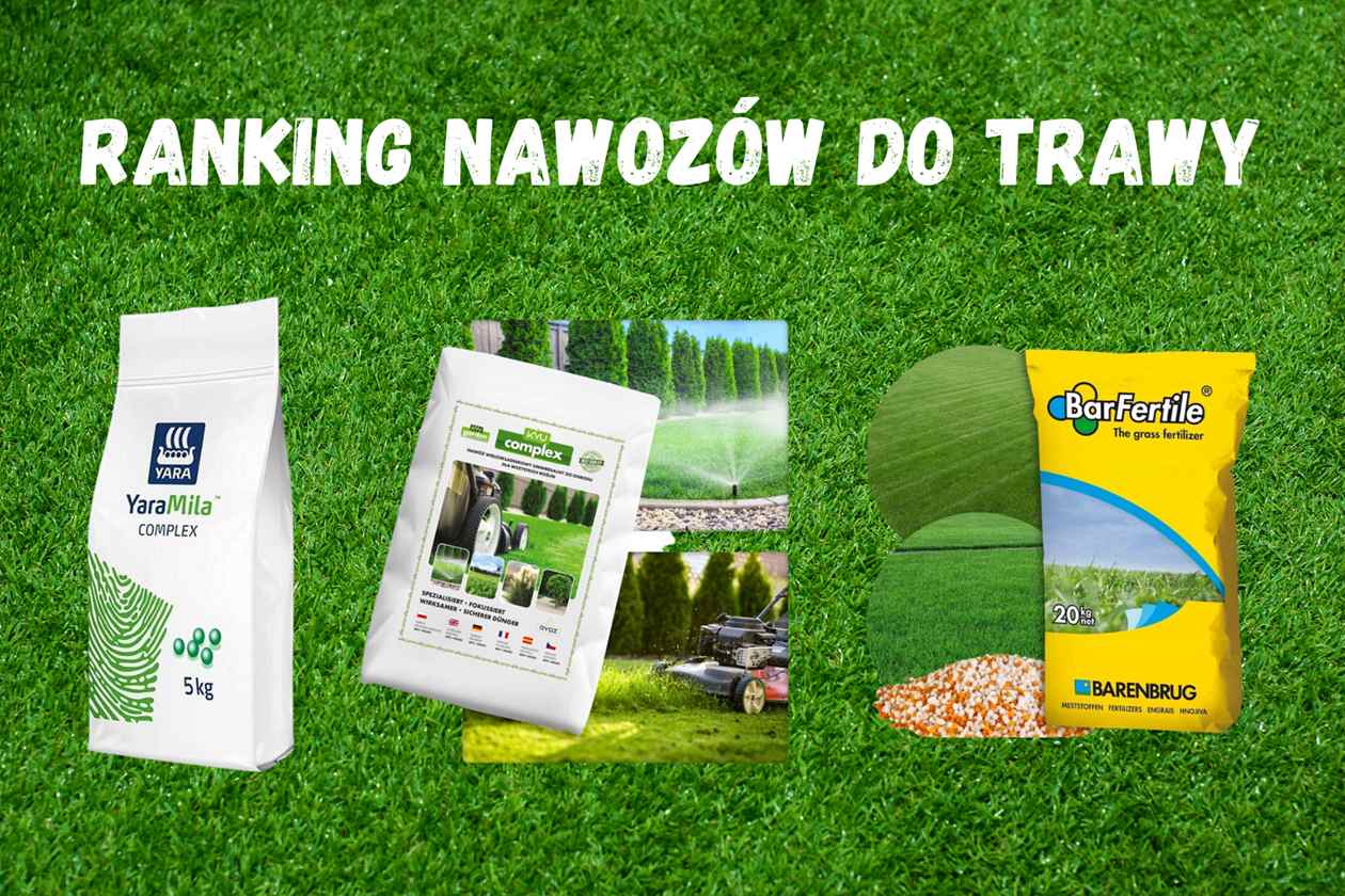 Ranking nawozów do trawy