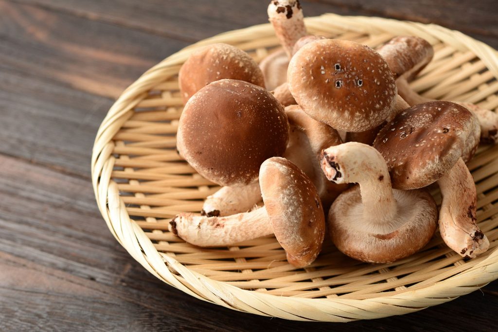 grzyby Shiitake na tacy